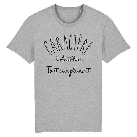 Image of t-shirt homme caractère d'antillais