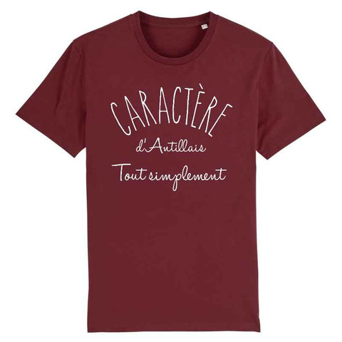 Image of caractère d'antillais t-shirt homme