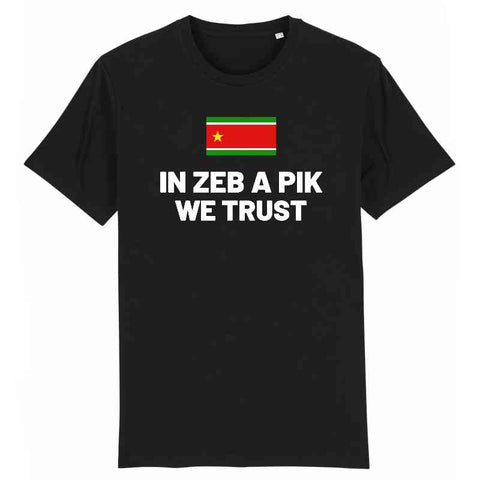 Image of in zeb a pik we trust tshirt homme