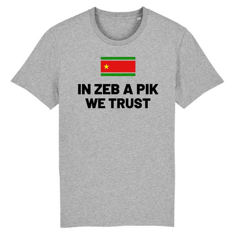 Image of tshirt homme zeb a pik