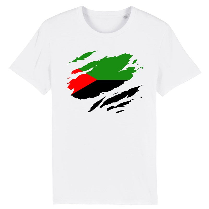 tshirt homme drapeau martinique effet déchiré