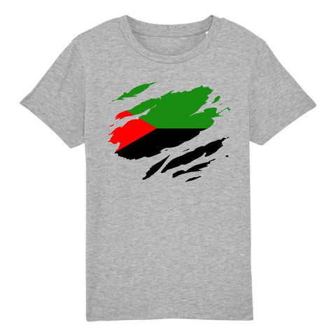 Image of drapeau martinique effet tshirt déchiré tshirt enfant