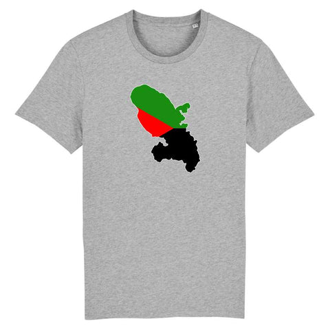 Image of tshirt homme drapeau carte martinique
