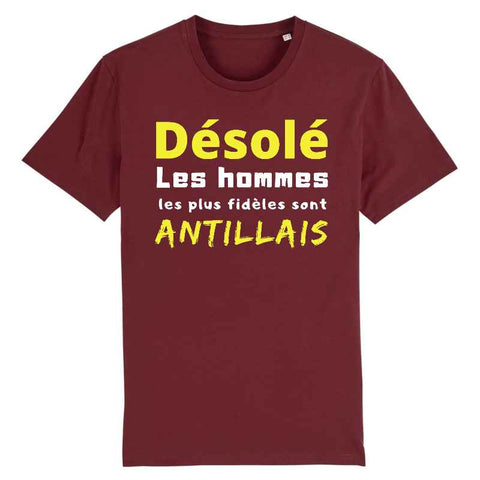 Image of désolé les hommes antillais t-shirt homme