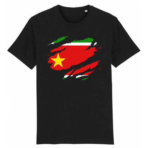 Image of T-Shirt Homme - Drapeau Guadeloupe effet t-shirt déchiré