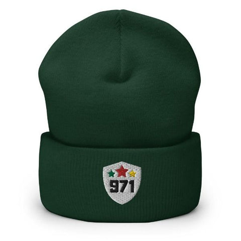 Image of 971 bonnet vert