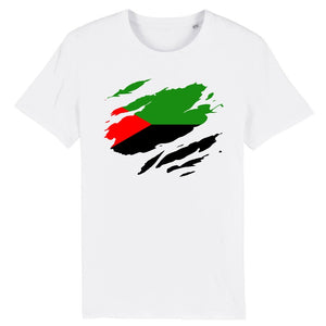 tshirt homme drapeau martinique effet déchiré