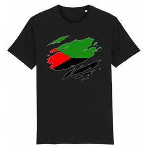 T-Shirt Homme - Drapeau Martinique effet t-shirt déchiré