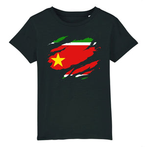 tshirt enfant drapeau guadeloupe effet tshirt déchiré