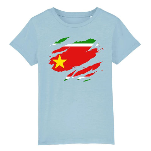 Image of tshirt drapeau guadeloupe effet tshirt déchiré enfant 