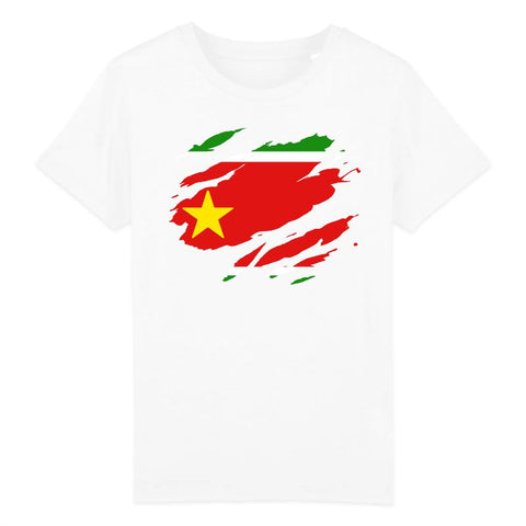 Image of t-shirt enfant drapeau guadeloupe effet tshirt déchiré