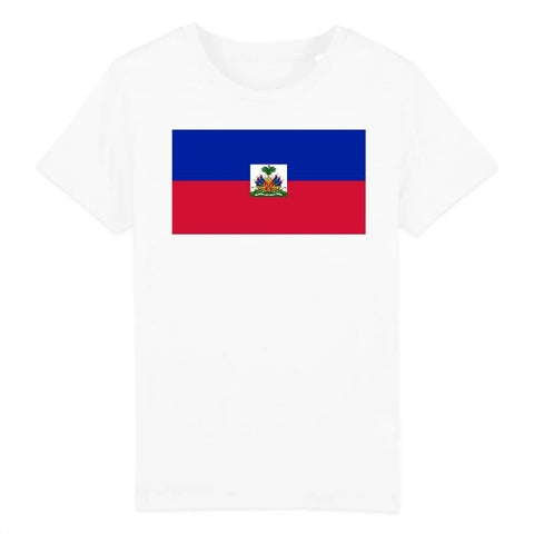 Image of tshirt enfant drapeau haiti