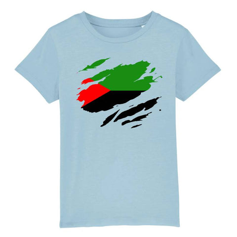 Image of tshirt drapeau martinique effet tshirt déchiré enfant