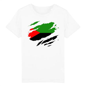 tshirt enfant drapeau martinique effet tshirt déchiré