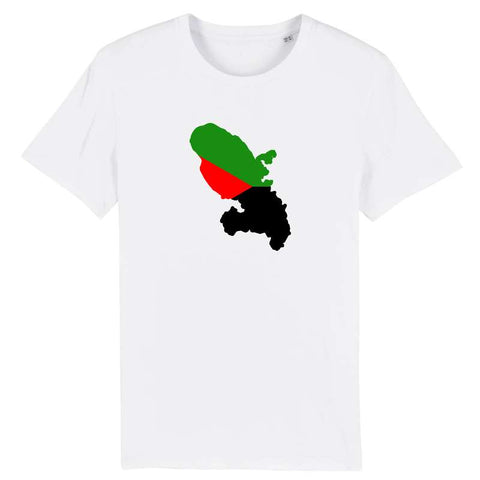 Image of tshirt homme carte martinique drapeau