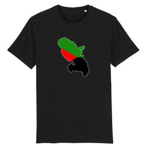 T-Shirt Homme - Carte Martinique au couleur du drapeau