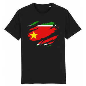 T-Shirt Homme - Drapeau Guadeloupe effet t-shirt déchiré