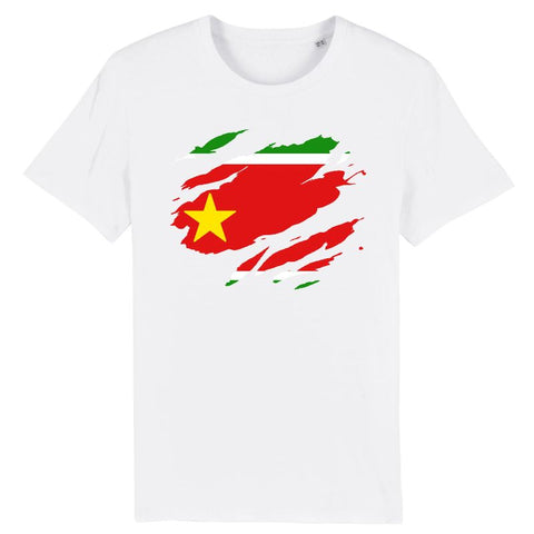 Image of T-Shirt Homme - Drapeau Guadeloupe effet t-shirt déchiré