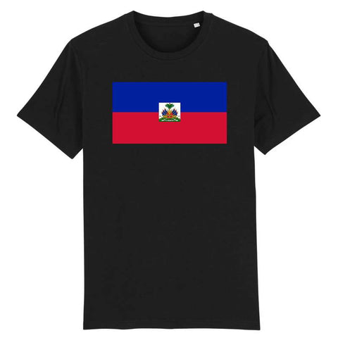 Image of t-shirt homme drapeau haiti