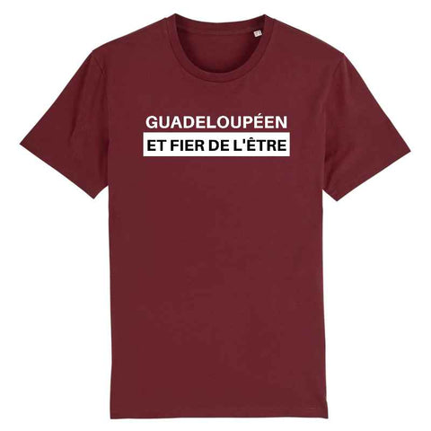 Image of  t-shirt guadeloupeen et fier de l'être homme 